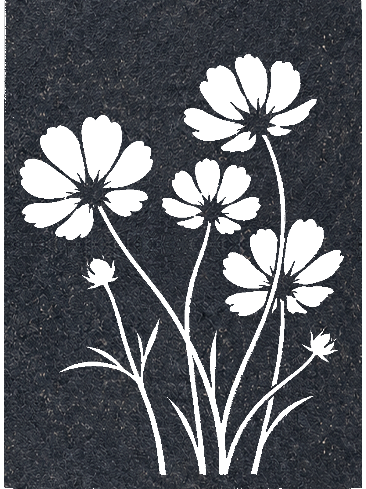 Midnight Wildflower, Black