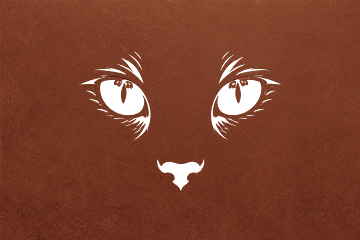 Minimalist Cat Gaze